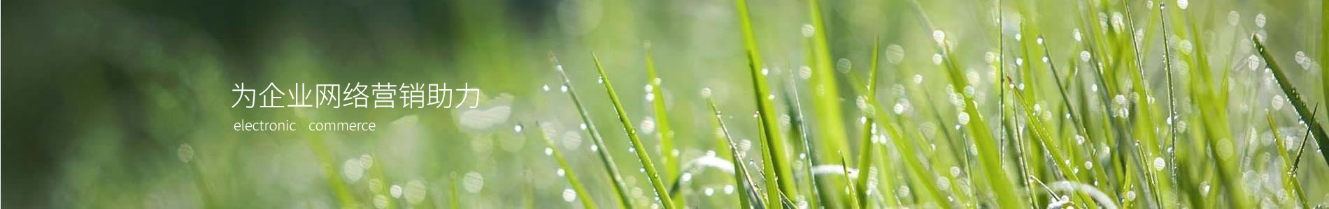 ڴó޹˾